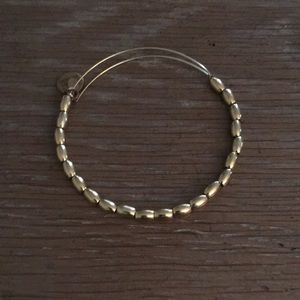 Alex and Ani gold bangle in shiny gold